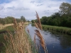 794px-Wicken_Lode1